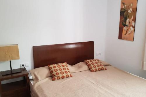 ein Bett mit zwei Kissen darauf in einem Schlafzimmer in der Unterkunft Precioso apartamento junto a plaza la Corredera in Córdoba
