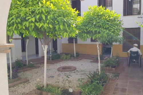 Zahrada ubytování Precioso apartamento junto a plaza la Corredera