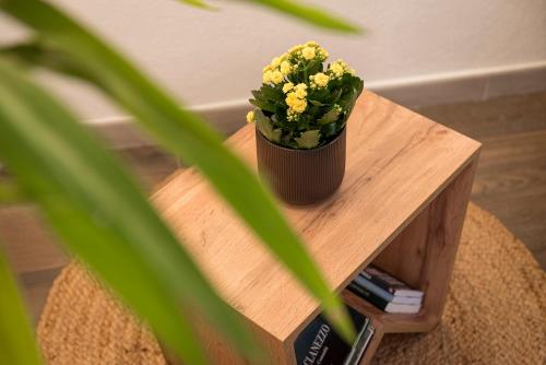 a potted plant sitting on top of a wooden table at Porto di Clanezzo in Clanezzo