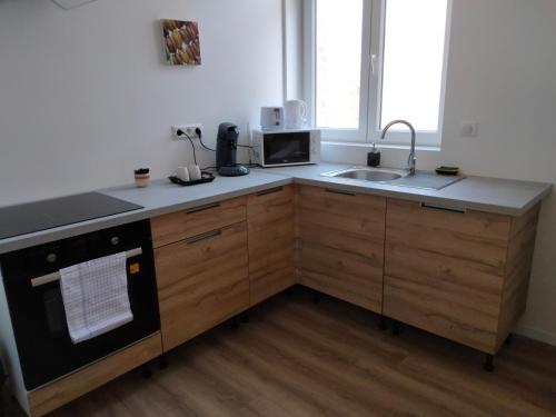 uma cozinha com um lavatório e um micro-ondas em Résidence Charles Rogier appartement 4 em Saint-Quentin