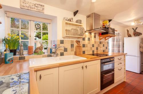 cocina con fregadero y fogones horno superior en Cosy Nook en North Molton