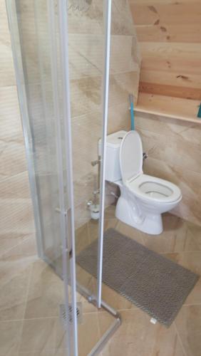 a bathroom with a toilet and a glass shower at Vila Verusa 2 in Podgorica