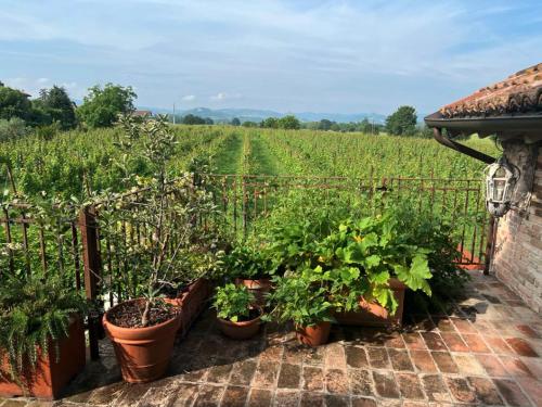 Κήπος έξω από το Casale Hortensia