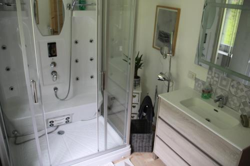 a bathroom with a shower and a sink at Dolomiti house in Cibiana