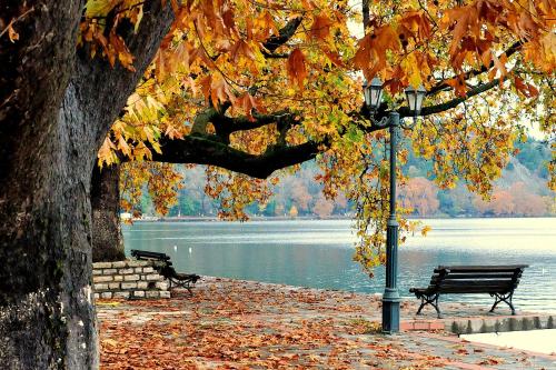 a park with two benches and a street light next to a lake at Kasoni Home , Απόλυτα κεντρικό διαμέρισμα μπροστά στη λίμνη in Kastoria