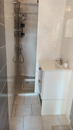 La salle de bains est pourvue d'une douche et d'un lavabo blanc. dans l'établissement Serge et annick, à Cérans-Foulletourte