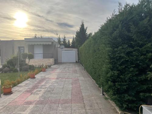 Κήπος έξω από το Silver Cool Raches