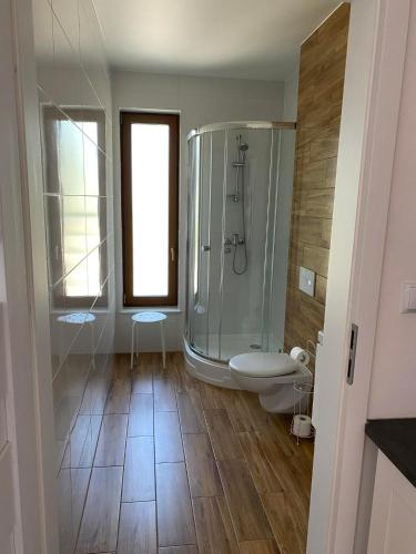 La salle de bains est pourvue d'une douche et de toilettes. dans l'établissement Solina Bieszczady Noclegi, à Solina