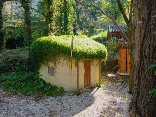 a small house covered in green moss next to a tree at Associação Quinta das Relvas in Branca