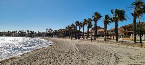 a sandy beach with palm trees and houses at Casa Rebecca, apartment with a poolview in Murcia