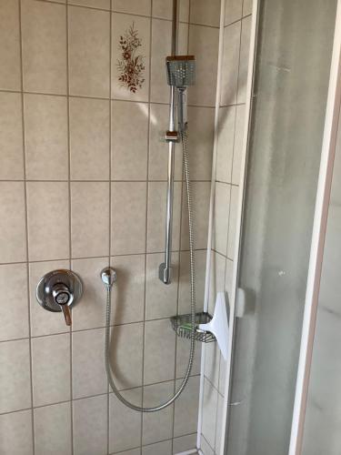a shower with a shower head in a bathroom at Landhaus Christina in Bad Dürrheim