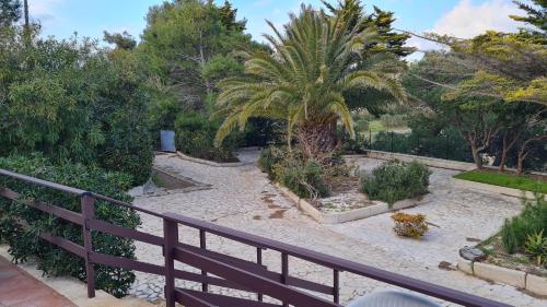 a garden with a palm tree and a fence at la casa nell'acqua in Otranto