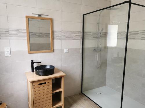 a bathroom with a shower with a sink and a mirror at Maison mitoyenne au cœur du Pays Basque in Saint-Esteben