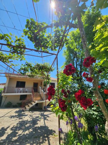 a house with flowers in front of it at Gazdinstvo Đurović in Dobra Voda