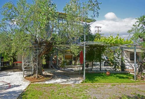 a garden with a tree in front of a house at VENI Olive House in Kalamata