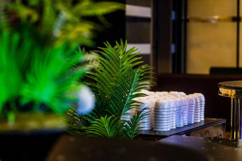 Fotografie z fotogalerie ubytování Hotel Aryavilas-A Luxury Boutique Hotel v destinaci Mathura