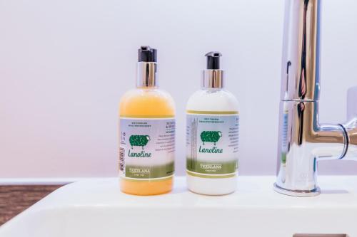 two bottles of cleaner sitting next to a sink at Grand Hotel Opduin in De Koog