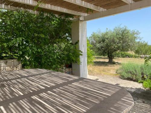 a porch with a wooden table and a tree at Trullo Raimondo in Martina Franca