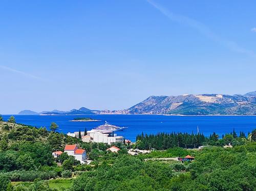 a view of a large body of water with a cruise ship at Sea view apartment Dominique in Cavtat