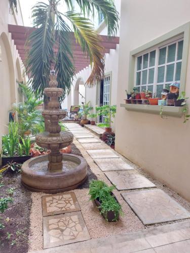 Ohana Casa de Artes – Photos 2