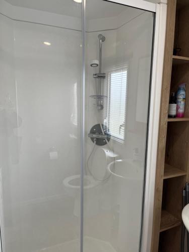 um chuveiro com uma porta de vidro na casa de banho em Arizona - Pura Vida Holidays Caravan em Clacton-on-Sea