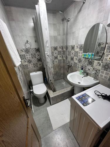 a bathroom with a toilet and a sink and a shower at Nice Apartment In Yerevan on Sayat Nova Sreet in Yerevan
