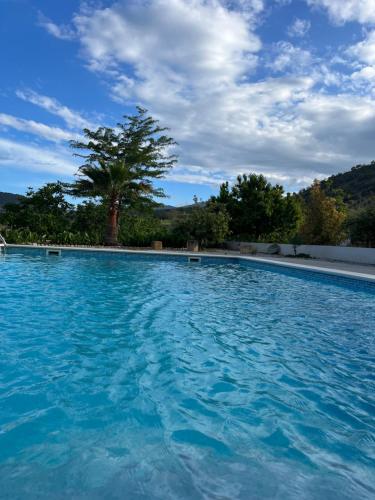 a large blue swimming pool with a tree in the background at Casa Rural Sabika in Alhama de Granada