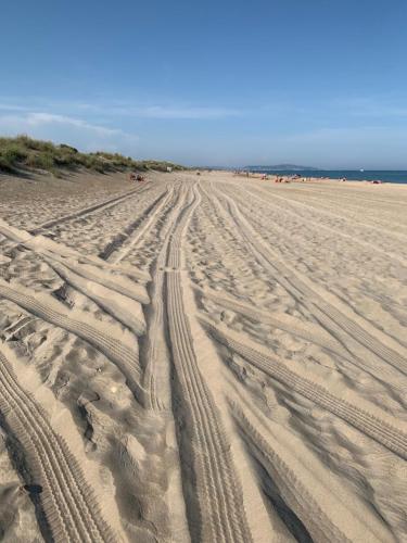 a sandy beach with tire tracks in the sand at Mon Petit Paradis, vue sur dunes et mer, accès direct plage Robinson, terrasse, WIFI, parking privé, très ressourçant, à Marseillan Plage in Marseillan