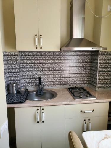 una cucina con lavello e fornello di Guest house Agmashenebeli 229 a Kobuleti