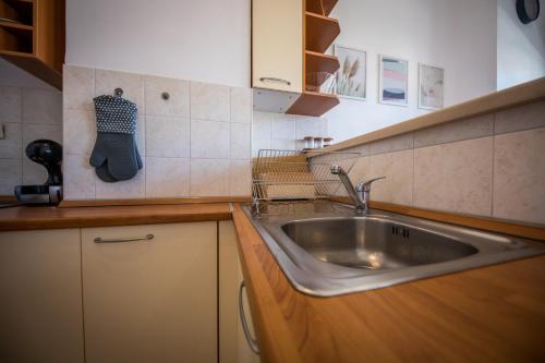 een keuken met een roestvrijstalen wastafel en kasten bij Apartment Lapad in Dubrovnik