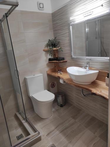 łazienka z toaletą i umywalką w obiekcie Orange Garden Double Rooms w mieście Kala Nera