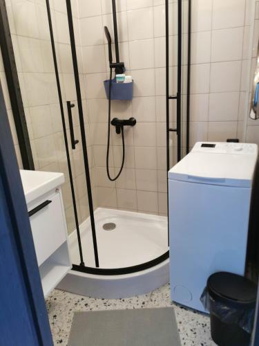 a bathroom with a shower with a toilet and a sink at King Petera in Ventspils