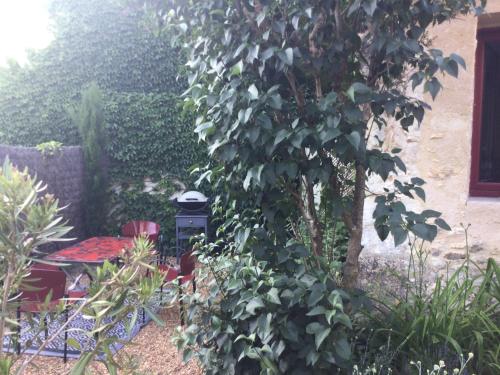 a garden with a tree and a grill at Charmante maisonnette en duplex au pied du Château in Nogent-le-Rotrou