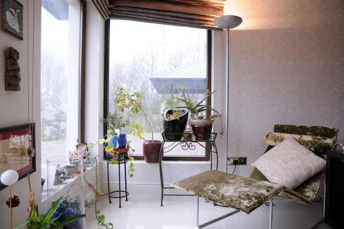 Habitación con ventana grande con plantas y sillas. en Modern 4 Bedroom House Ring of Kerry -Killarney, en Killarney
