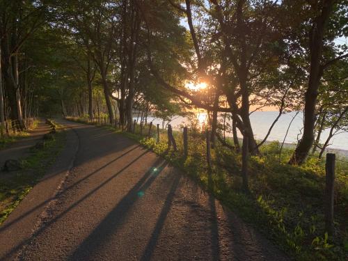 a road with the sun shining through trees at GUT KLETKAMP "Mühlenhof 3" - Ruhige Ferienwohnung mit 2 Schlafzimmern I Terrasse mit See- & Naturblick I Gemeinschaftsgarten I 15 Min zur Ostsee I Küche I Parkplatz I Waschmaschine I WLAN in Kletkamp