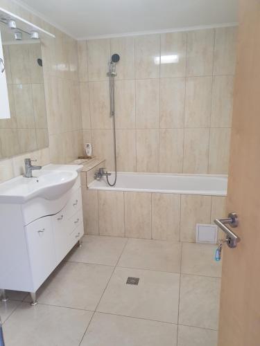 a bathroom with a shower and a sink and a tub at Casa Lions in Timişoara