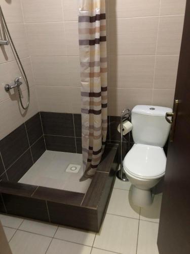 a bathroom with a toilet and a shower at Ubytovanie Toscana in Vyšné Revištia