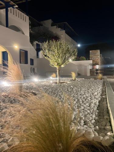a tree in the middle of a yard at night at Villa Maniati Studios in ayios Petros