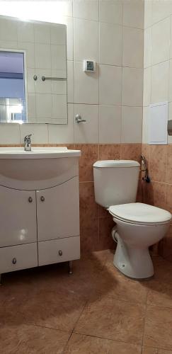 a bathroom with a toilet and a sink and a mirror at Marina Cape surprise studio in Aheloy