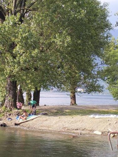 a person laying on a surfboard on the shore of a body of water at Gartenwohnung im Zentrum von Vira/Gamborogno in Vira