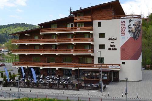 a large building with tables and chairs in front of it at Cabana Fulg De Nea Predeal in Predeal
