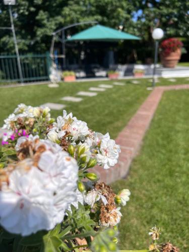 Villa Albina photo 45