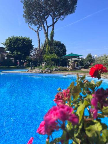 Villa Albina photo 43