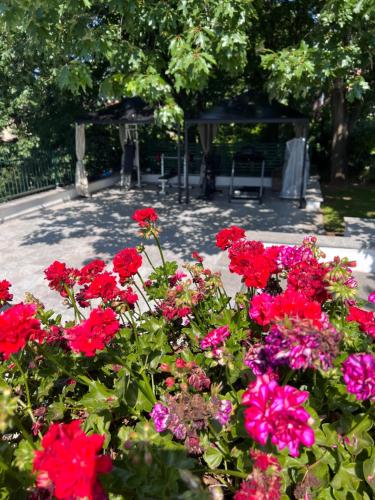 Villa Albina photo 41