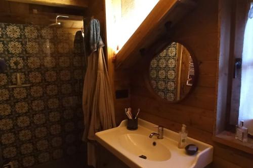 a bathroom with a sink and a mirror at Casa La Talpa Dispettosa in Cesani