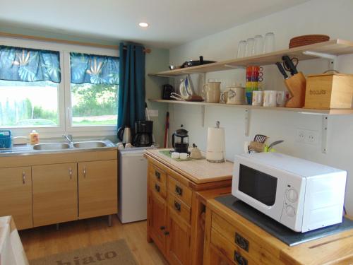 a kitchen with a microwave on top of a counter at La Vesiniere/BelleFleur gite in Annebecq