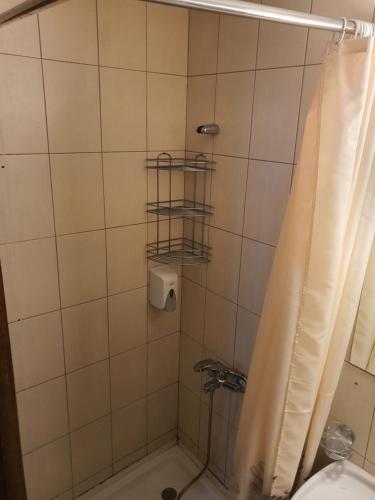 ein Bad mit Dusche, WC und Duschvorhang in der Unterkunft Koko's apartments 2 in Bansko
