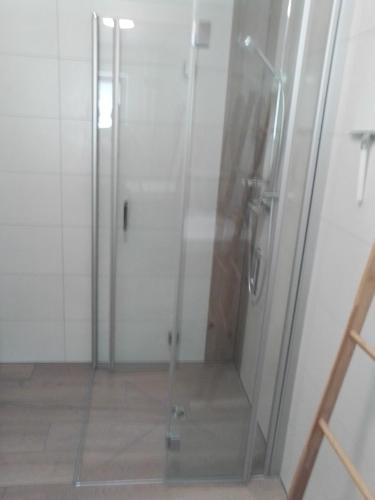 a shower with a glass door in a bathroom at gemütliche Ferienwohnung in Zandt