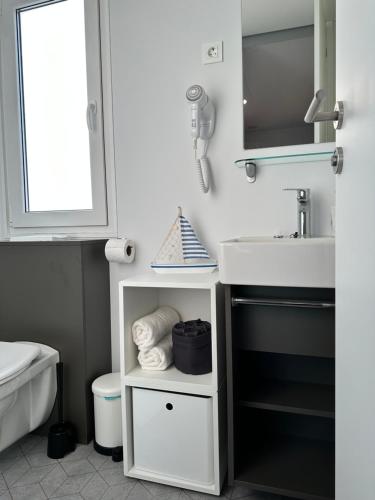 ein Badezimmer mit einem Waschbecken, einem WC und einem Spiegel in der Unterkunft Mobile House Hana E8 in Lučica