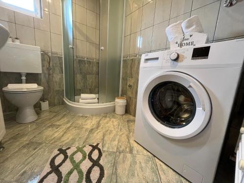 uma máquina de lavar roupa na casa de banho com WC em Holiday Home Božica em Ličko Lešće